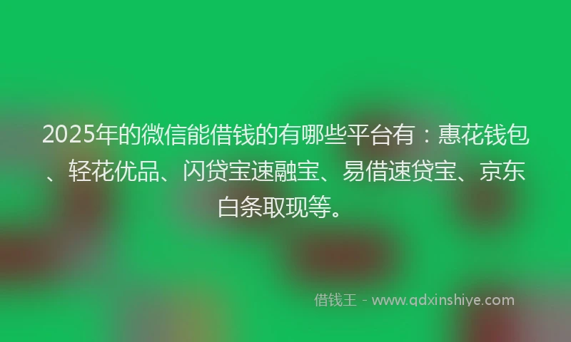 2025年的微信能借钱的有哪些平台有：惠花钱包、轻花优品、闪贷宝速融宝、易借速贷宝、京东白条取现等。