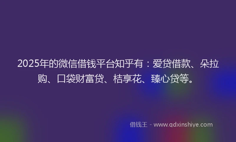 2025年的微信借钱平台知乎有：爱贷借款、朵拉购、口袋财富贷、桔享花、臻心贷等。