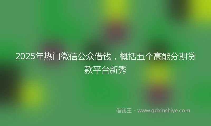 2025年热门微信公众借钱，概括五个高能分期贷款平台新秀