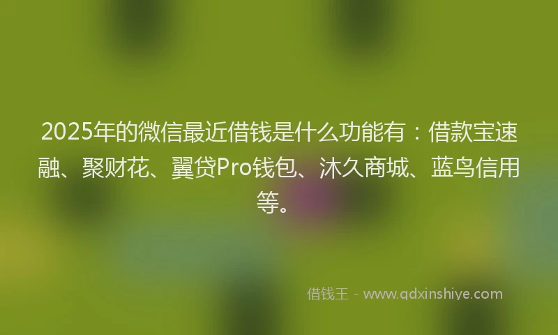 2025年的微信最近借钱是什么功能有：借款宝速融、聚财花、翼贷Pro钱包、沐久商城、蓝鸟信用等。