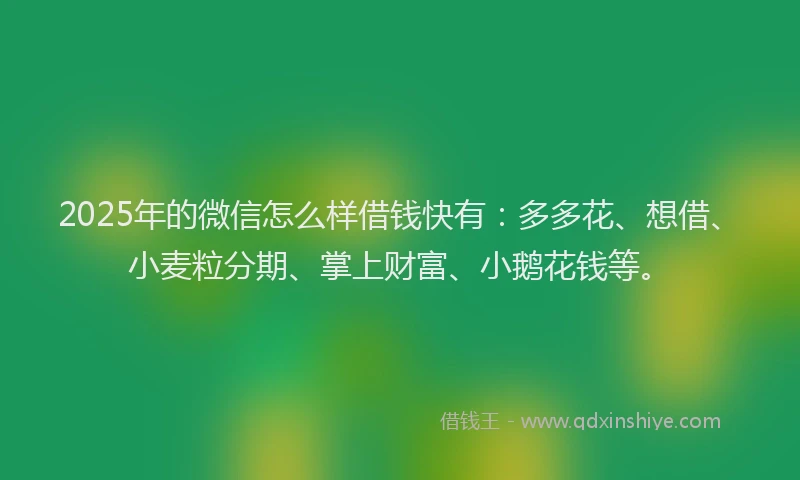 2025年的微信怎么样借钱快有：多多花、想借、小麦粒分期、掌上财富、小鹅花钱等。