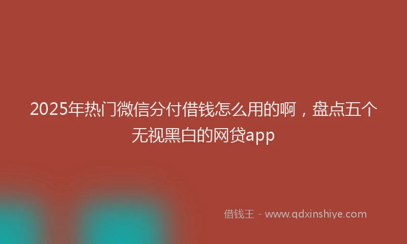 2025年热门微信分付借钱怎么用的啊，盘点五个无视黑白的网贷app