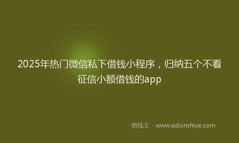 2025年热门微信私下借钱小程序，归纳五个不看征信小额借钱的app