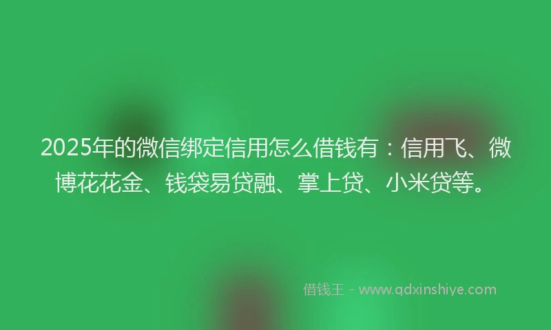 2025年的微信绑定信用怎么借钱有：信用飞、微博花花金、钱袋易贷融、掌上贷、小米贷等。