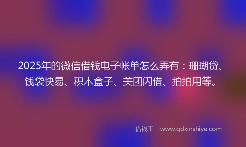 2025年的微信借钱电子帐单怎么弄有：珊瑚贷、钱袋快易、积木盒子、美团闪借、拍拍用等。