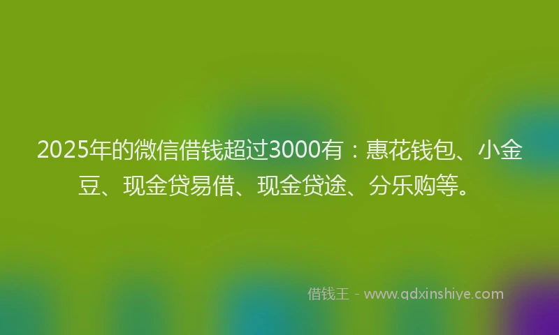 2025年的微信借钱超过3000有：惠花钱包、小金豆、现金贷易借、现金贷途、分乐购等。