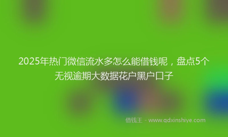 2025年热门微信流水多怎么能借钱呢，盘点5个无视逾期大数据花户黑户口子