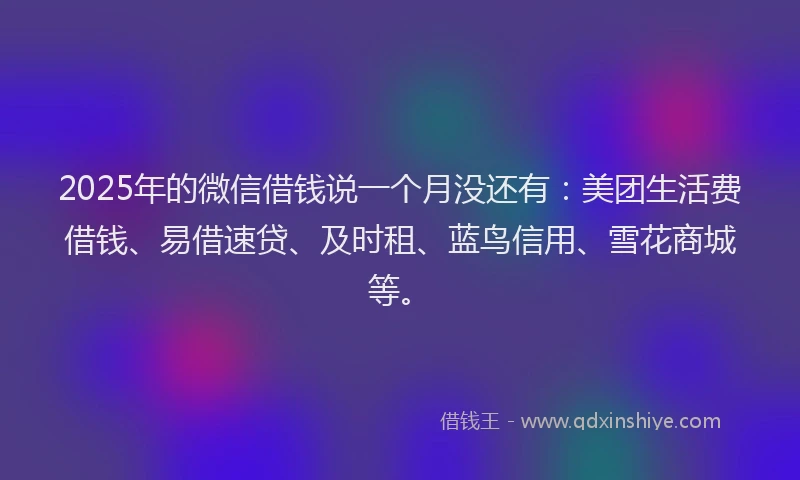 2025年的微信借钱说一个月没还有：美团生活费借钱、易借速贷、及时租、蓝鸟信用、雪花商城等。