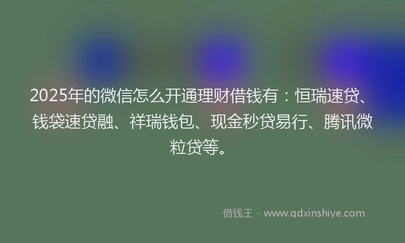 2025年的微信怎么开通理财借钱有：恒瑞速贷、钱袋速贷融、祥瑞钱包、现金秒贷易行、腾讯微粒贷等。