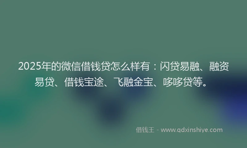 2025年的微信借钱贷怎么样有：闪贷易融、融资易贷、借钱宝途、飞融金宝、哆哆贷等。