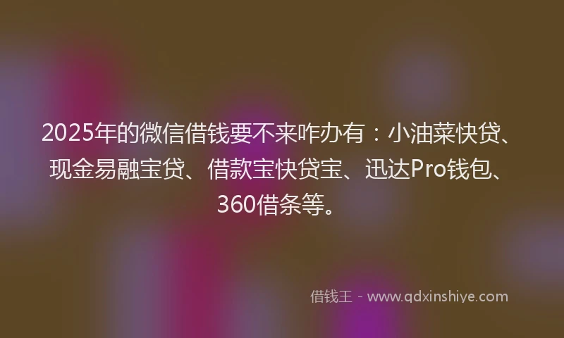 2025年的微信借钱要不来咋办有：小油菜快贷、现金易融宝贷、借款宝快贷宝、迅达Pro钱包、360借条等。