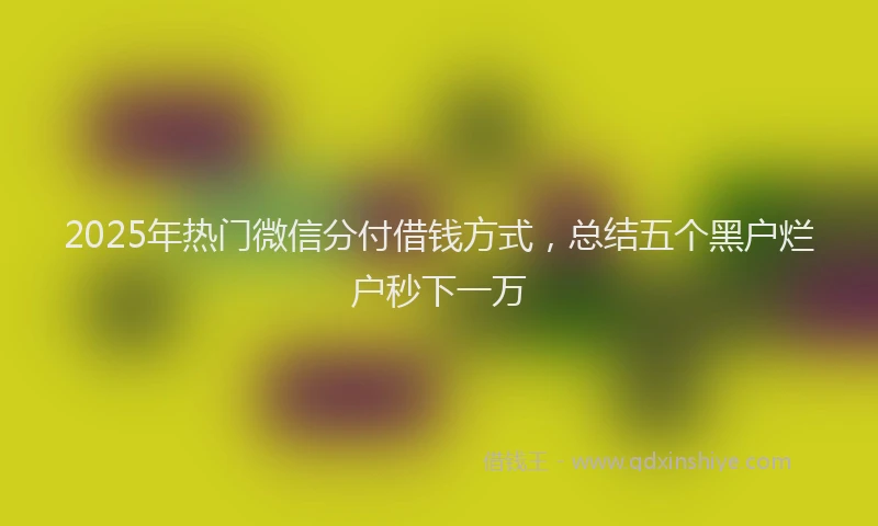 2025年热门微信分付借钱方式，总结五个黑户烂户秒下一万