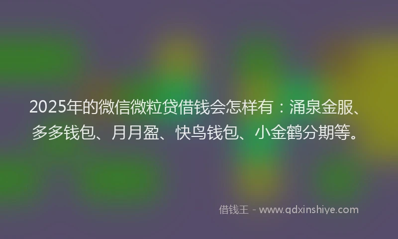 2025年的微信微粒贷借钱会怎样有：涌泉金服、多多钱包、月月盈、快鸟钱包、小金鹤分期等。