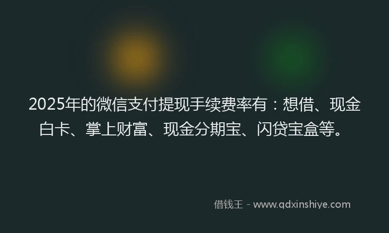 2025年的微信支付提现手续费率有：想借、现金白卡、掌上财富、现金分期宝、闪贷宝盒等。