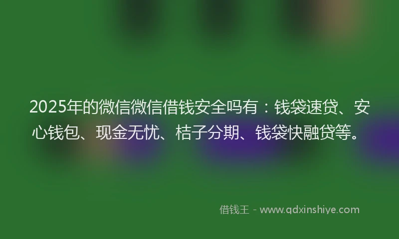 2025年的微信微信借钱安全吗有：钱袋速贷、安心钱包、现金无忧、桔子分期、钱袋快融贷等。