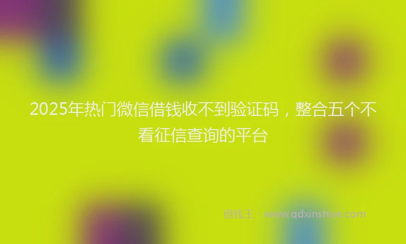 2025年热门微信借钱收不到验证码，整合五个不看征信查询的平台