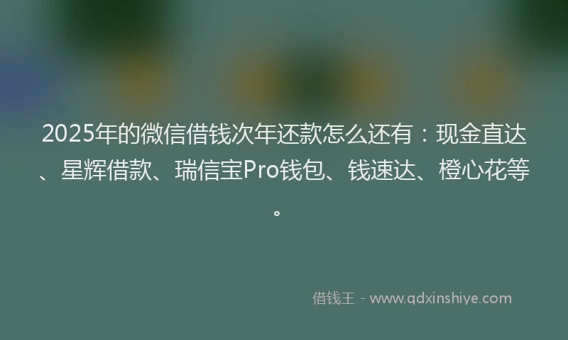 2025年的微信借钱次年还款怎么还有：现金直达、星辉借款、瑞信宝Pro钱包、钱速达、橙心花等。