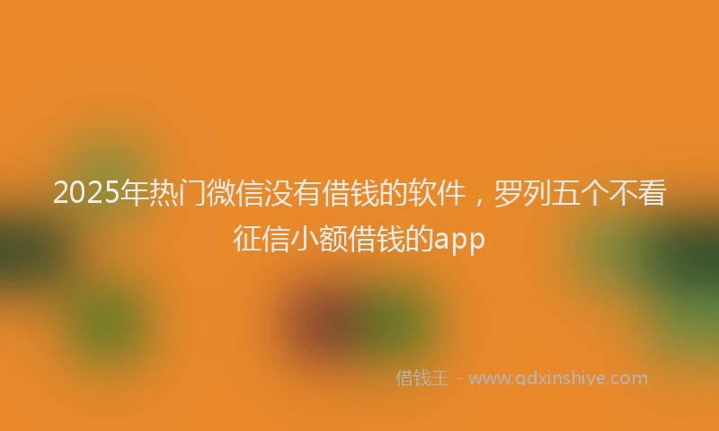 2025年热门微信没有借钱的软件，罗列五个不看征信小额借钱的app