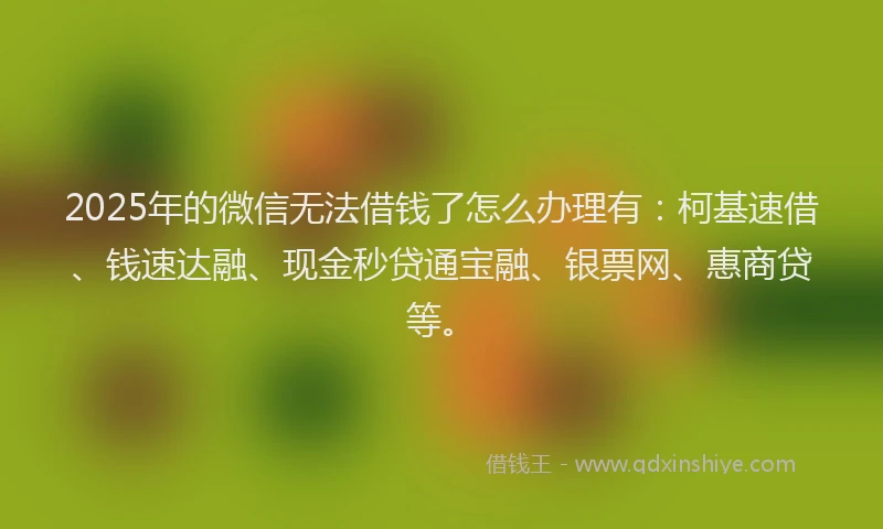 2025年的微信无法借钱了怎么办理有：柯基速借、钱速达融、现金秒贷通宝融、银票网、惠商贷等。