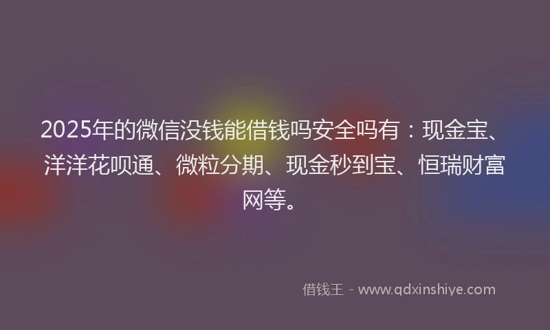 2025年的微信没钱能借钱吗安全吗有：现金宝、洋洋花呗通、微粒分期、现金秒到宝、恒瑞财富网等。