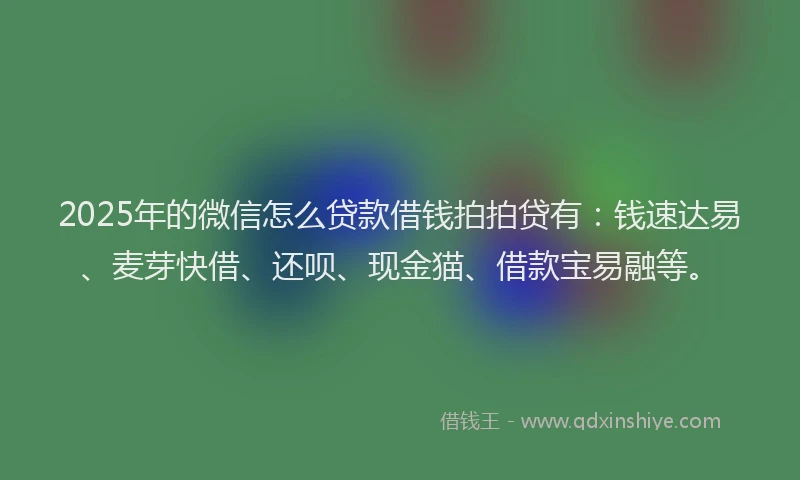 2025年的微信怎么贷款借钱拍拍贷有：钱速达易、麦芽快借、还呗、现金猫、借款宝易融等。