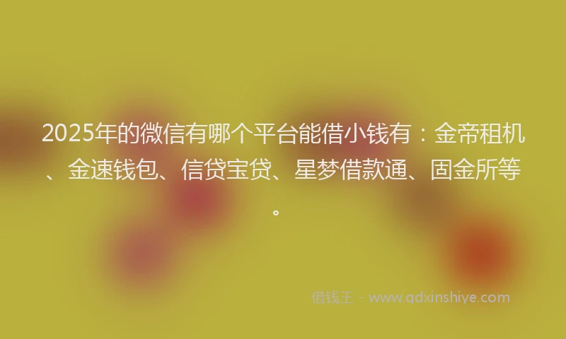 2025年的微信有哪个平台能借小钱有：金帝租机、金速钱包、信贷宝贷、星梦借款通、固金所等。
