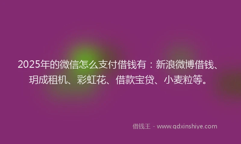 2025年的微信怎么支付借钱有：新浪微博借钱、玥成租机、彩虹花、借款宝贷、小麦粒等。
