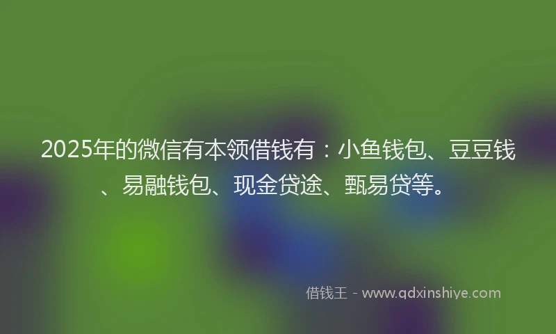 2025年的微信有本领借钱有：小鱼钱包、豆豆钱、易融钱包、现金贷途、甄易贷等。