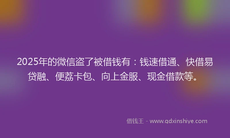 2025年的微信盗了被借钱有：钱速借通、快借易贷融、便荔卡包、向上金服、现金借款等。