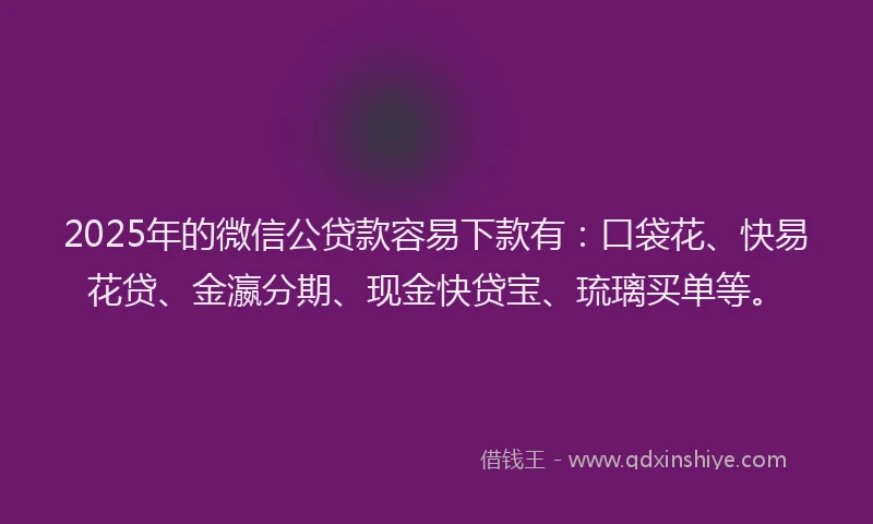 2025年的微信公贷款容易下款有：口袋花、快易花贷、金瀛分期、现金快贷宝、琉璃买单等。