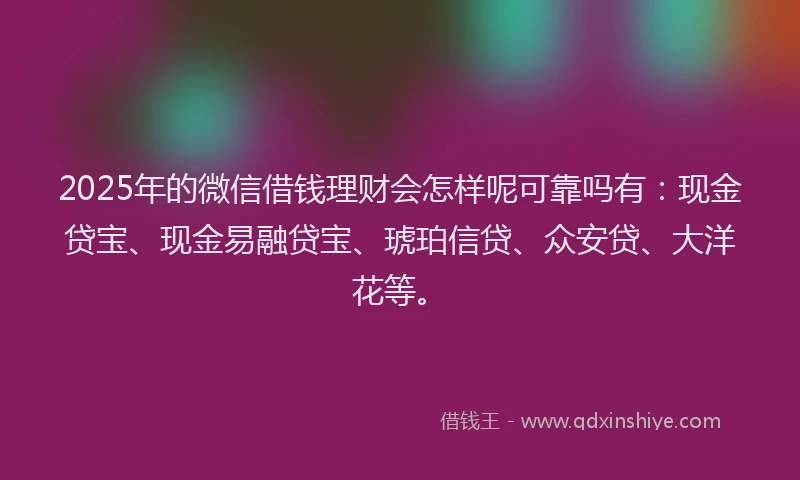 2025年的微信借钱理财会怎样呢可靠吗有：现金贷宝、现金易融贷宝、琥珀信贷、众安贷、大洋花等。
