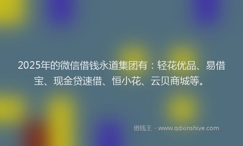 2025年的微信借钱永道集团有：轻花优品、易借宝、现金贷速借、恒小花、云贝商城等。