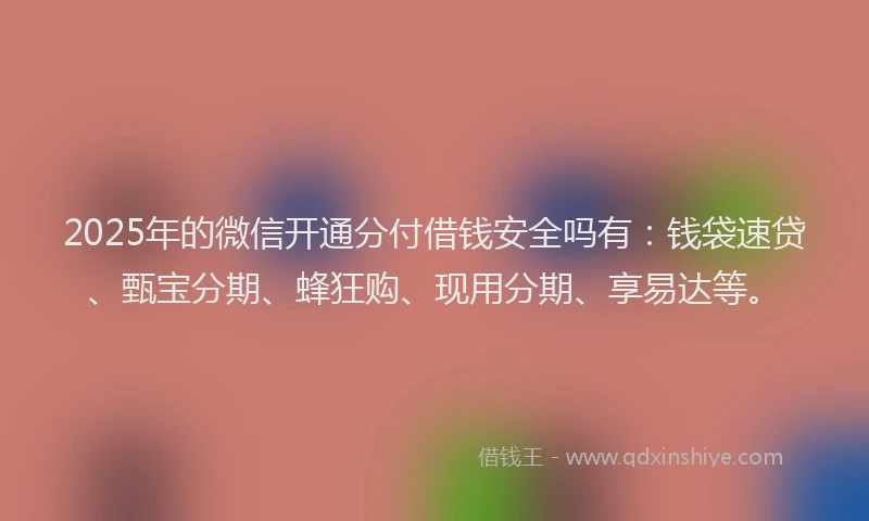 2025年的微信开通分付借钱安全吗有：钱袋速贷、甄宝分期、蜂狂购、现用分期、享易达等。
