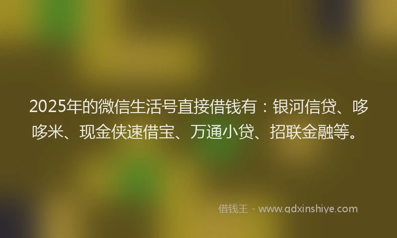 2025年的微信生活号直接借钱有：银河信贷、哆哆米、现金侠速借宝、万通小贷、招联金融等。