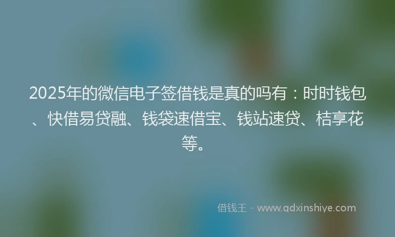 2025年的微信电子签借钱是真的吗有：时时钱包、快借易贷融、钱袋速借宝、钱站速贷、桔享花等。