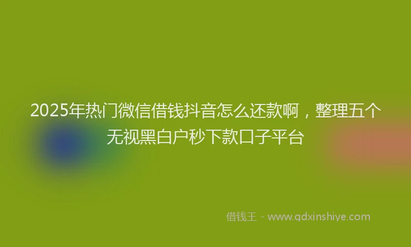 2025年热门微信借钱抖音怎么还款啊，整理五个无视黑白户秒下款口子平台