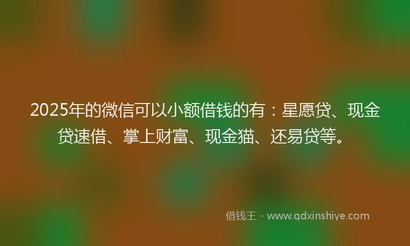 2025年的微信可以小额借钱的有：星愿贷、现金贷速借、掌上财富、现金猫、还易贷等。