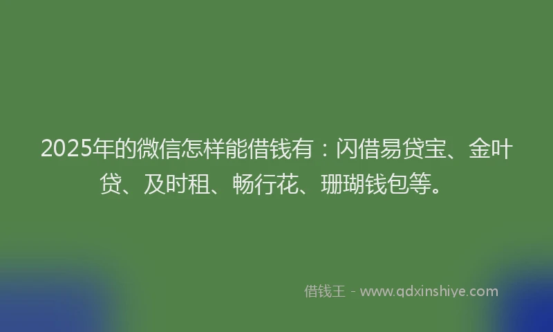 2025年的微信怎样能借钱有：闪借易贷宝、金叶贷、及时租、畅行花、珊瑚钱包等。