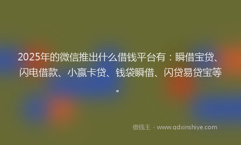 2025年的微信推出什么借钱平台有：瞬借宝贷、闪电借款、小赢卡贷、钱袋瞬借、闪贷易贷宝等。