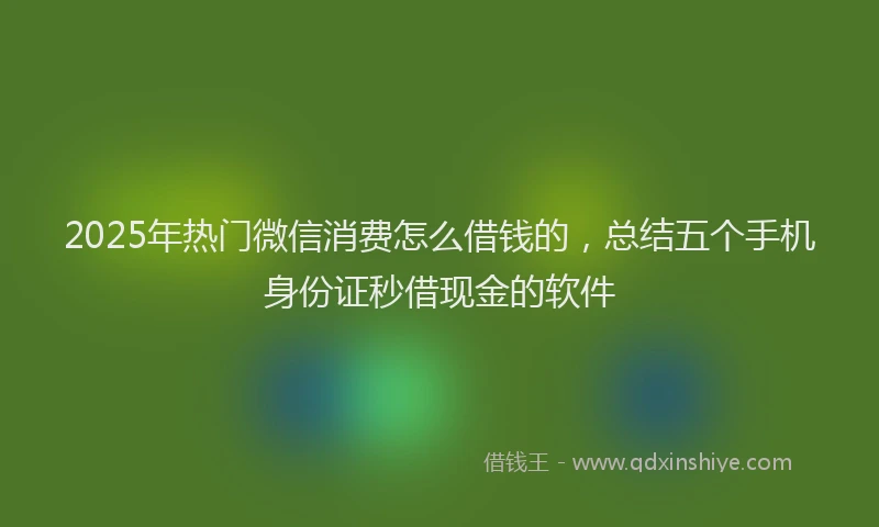 2025年热门微信消费怎么借钱的，总结五个手机身份证秒借现金的软件