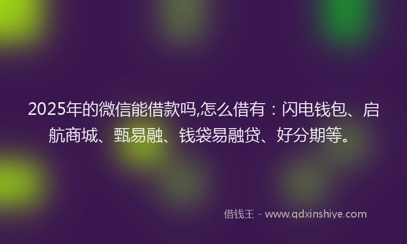 2025年的微信能借款吗,怎么借有：闪电钱包、启航商城、甄易融、钱袋易融贷、好分期等。