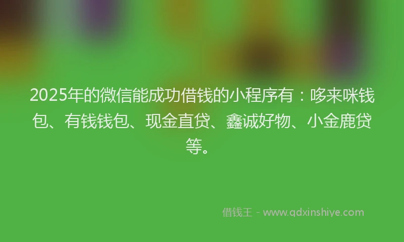 2025年的微信能成功借钱的小程序有：哆来咪钱包、有钱钱包、现金直贷、鑫诚好物、小金鹿贷等。