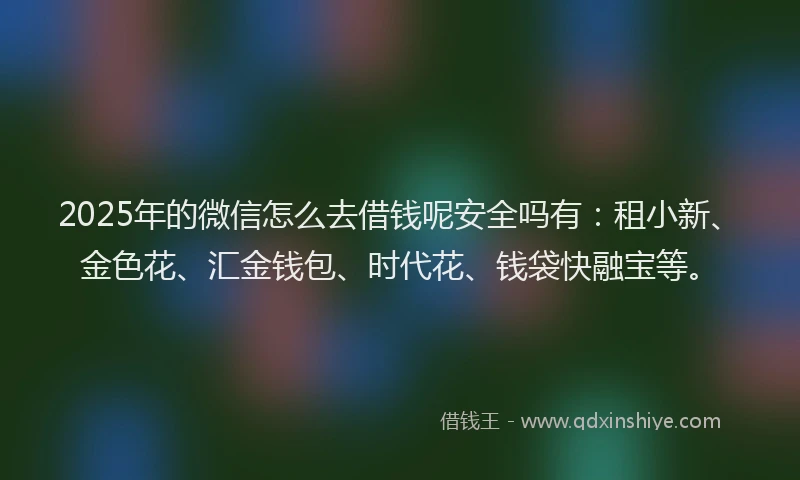 2025年的微信怎么去借钱呢安全吗有：租小新、金色花、汇金钱包、时代花、钱袋快融宝等。