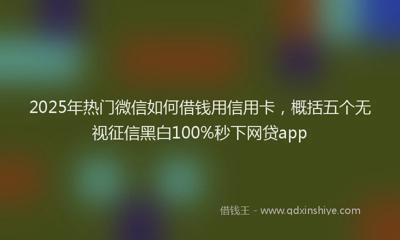 2025年热门微信如何借钱用信用卡，概括五个无视征信黑白100%秒下网贷app
