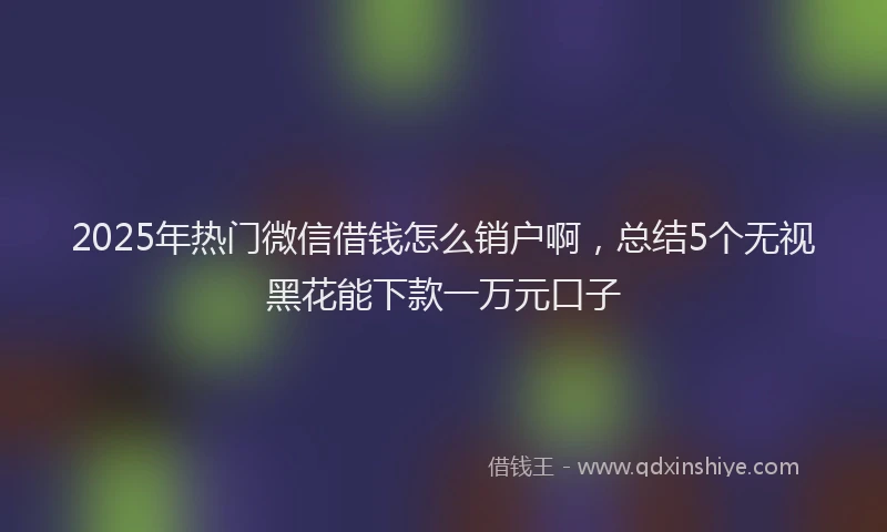 2025年热门微信借钱怎么销户啊，总结5个无视黑花能下款一万元口子