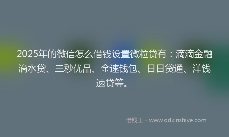 2025年的微信怎么借钱设置微粒贷有：滴滴金融滴水贷、三秒优品、金速钱包、日日贷通、洋钱速贷等。