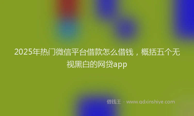 2025年热门微信平台借款怎么借钱，概括五个无视黑白的网贷app