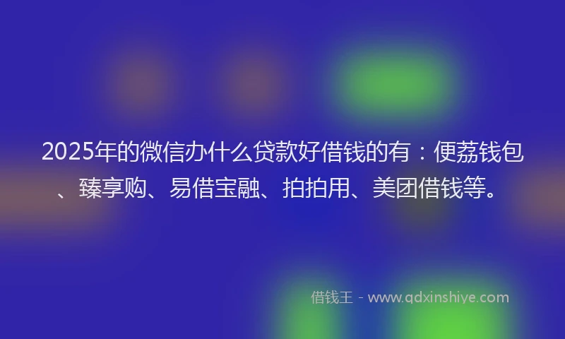 2025年的微信办什么贷款好借钱的有：便荔钱包、臻享购、易借宝融、拍拍用、美团借钱等。