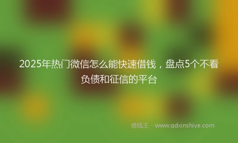 2025年热门微信怎么能快速借钱，盘点5个不看负债和征信的平台