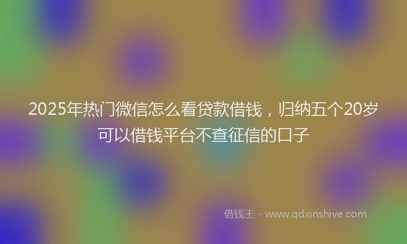 2025年热门微信怎么看贷款借钱，归纳五个20岁可以借钱平台不查征信的口子
